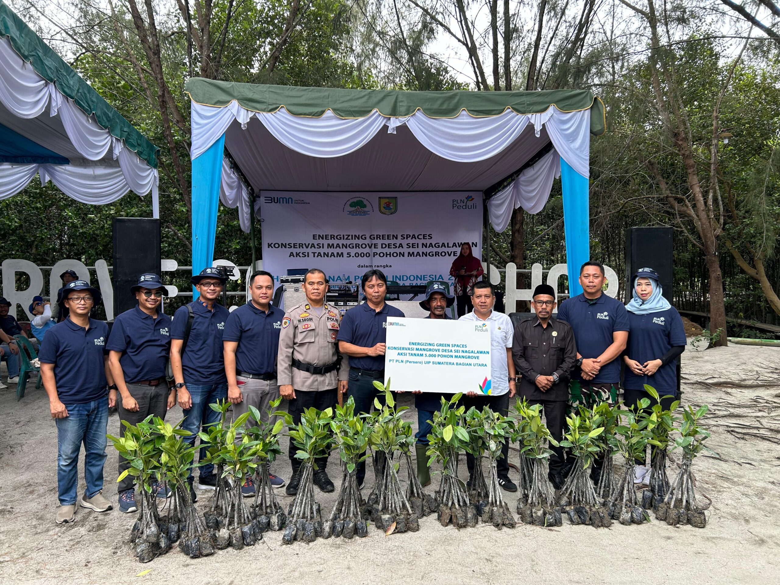 PLN UIP SBU Gelar Aksi Tanam 5.000 Batang Mangrove Di Pesisir Sergai