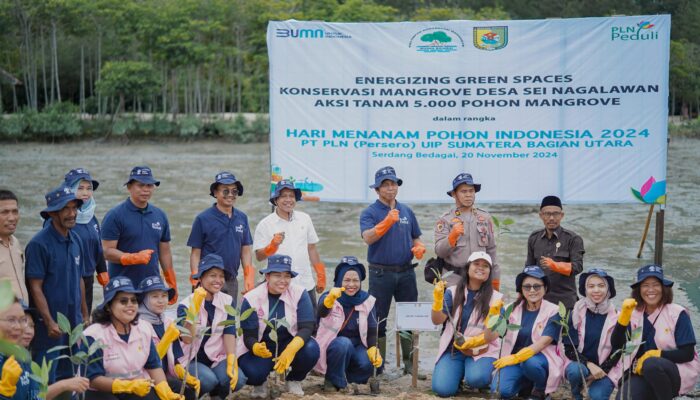 Sambut Nataru, Srikandi PLN Gelar Aksi Tanam 5.000 Mangrove Di Sergai