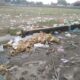 Warga Agara Keluhkan Sampah Kampanye Akbar
