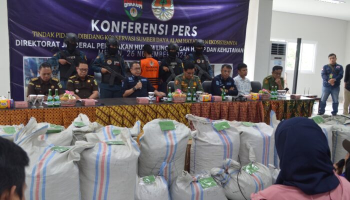 Penjualan 1,2 Ton Sisik Trenggiling Di Sumut Berhasil Digagalkan Tim Gakkum KLHK