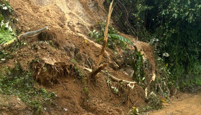 Deliserdang Berduka, Longsor 2 Meninggal Dunia