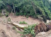 Mobil Tertimbun Longsor Di Sibolangit, 7 Tewas Dan 20 Luka-luka