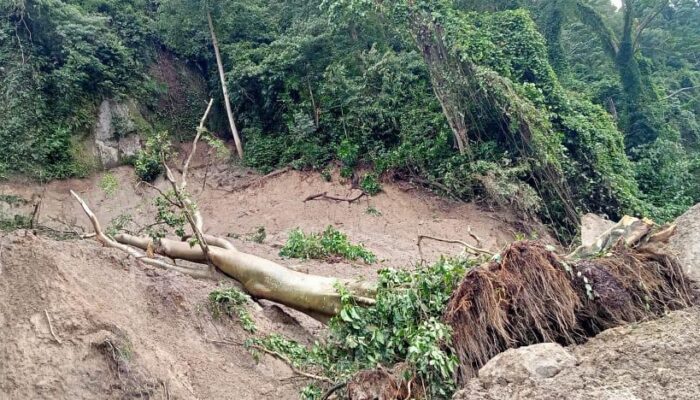 Mobil Tertimbun Longsor Di Sibolangit, 7 Tewas Dan 20 Luka-luka