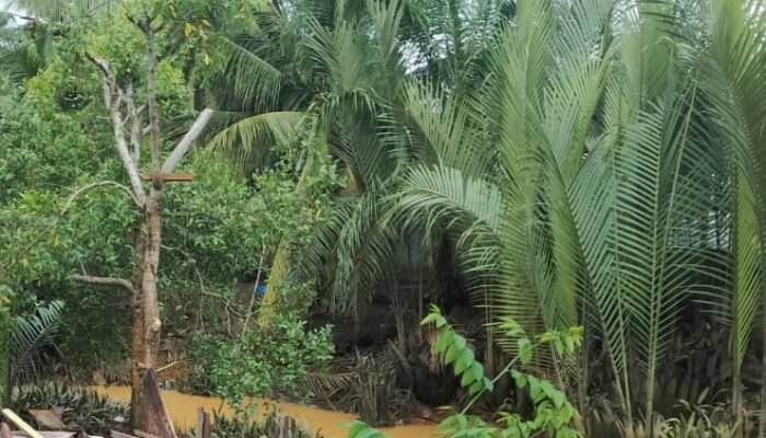 Masa Depan Nelayan Suram, Lapak Mengais Rezeki Kian Menipis