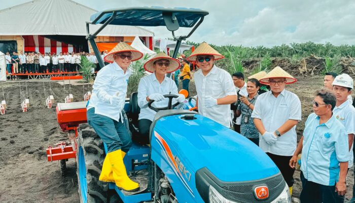 PTPN Sasar Produksi Setengah Juta Ton Gabah Melalui Program TAMPAN