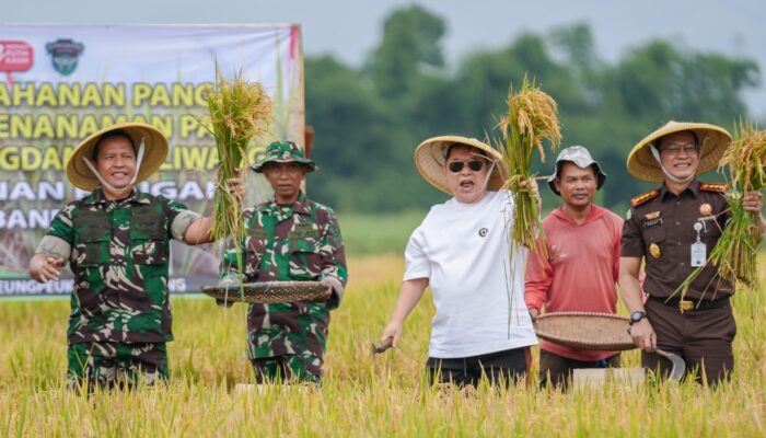 Gelar Panen Raya, TNI AD dan Jerry Hermawan Lo Kerja Sama Tingkatkan Ketahanan Pangan