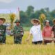 Gelar Panen Raya, TNI AD dan Jerry Hermawan Lo Kerja Sama Tingkatkan Ketahanan Pangan