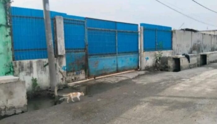 HNSI Medan Minta Pertamina Tindak Transportir Pasok BBM Solar Subsidi Di Gabion Belawan