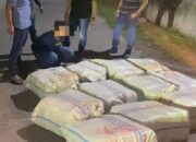 Poldasu Gagalkan Peredaran 272 Kg Ganja Asal Aceh
