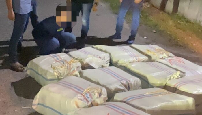 Poldasu Gagalkan Peredaran 272 Kg Ganja Asal Aceh