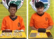 Polres Sidimpuan Ciduk 2 Pengedar Sabu Dan Ganja