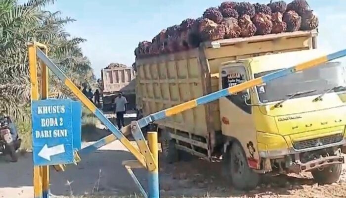 Warga Kampungrakyat Berharap Truk Angkutan Sawit Tidak Dilarang Melintas Di Perkebunan PT. ABM