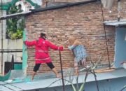 Kapolrestabes Medan Evakuasi Nenek Korban Banjir Di Kampung Baru