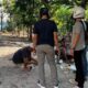 Polres Pematangsiantar melalui Sat Resnarkoba melakukan GSN di sejumlah lokasi di wilayah hukum Polres, Rabu (6/11) siang, namun personel Sat Resnarkoba sama sekali tidak ada menemukan barang bukti narkoba dan juga tidak ada menemukan urine positif narkoba setelah melakukan tes urine di lokasi GSN.(Waspada-Ist).
