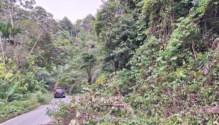 Jalan Lintas Atim – Galus Kerap Longsor Musim Penghujan