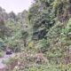 Pohon dan tanah longsor menutupi badan jalan di kawasan Gunung Putus, perbatasan antara Seumanah Jaya Kecamatan Ranto Peureulak dengan Peunaron Lama Kecamatan Peunaron, Kab. Aceh Timur. Foto diambil, Jumat (1/11). Waspada/Muhammad Ishak