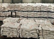 Seluruh Petani Diminta Segera Daftar Sebagai Penerima Pupuk Subsidi Tahun 2025