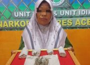 Diduga Pengedar Ganja, IRT Di Abdya Diamankan Petugas