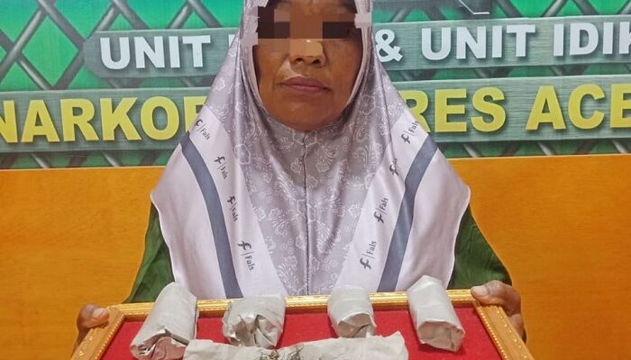 Diduga Pengedar Ganja, IRT Di Abdya Diamankan Petugas