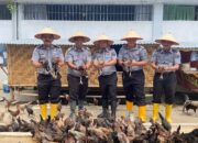 Lapas Labuhanruku Panen Sayur Dan Monitoring