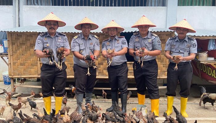 Lapas Labuhanruku Panen Sayur Dan Monitoring