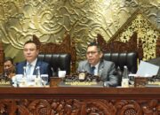 Naturalisasi 3 Pesebakbola Kembali Disetujui DPR