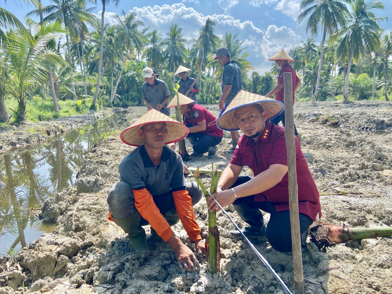 Dukung Ketahanan Pangan, Lapas Labuhanruku Budidayakan Pisang