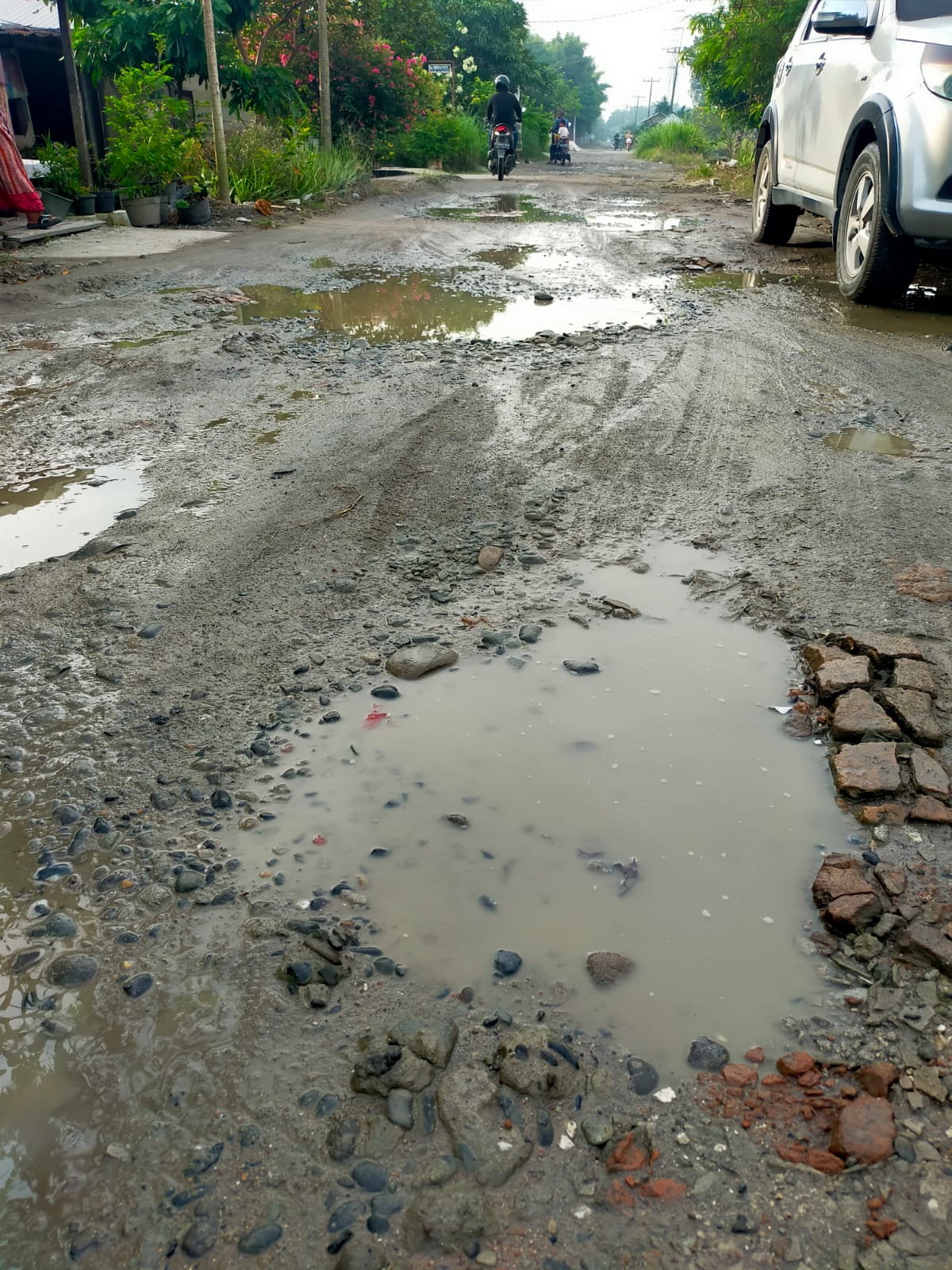 Gerindra Respon Cepat Keluhan Warga Belasan Tahun Jalan Rusak Parah Di Tanjung Selamat Gerindra Respon Cepat Keluhan Warga Belasan Tahun Jalan Rusak Parah Di Tanjung Selamat
