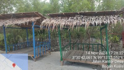 Mahasiswa KKNT USU 2024 Lakukan Penanaman Mangrove, Pengembangan Ekowisata Dan Ecoprint Di Desa Bagan Kuala