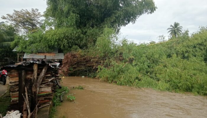 Rumpun Bambu Tumbang Hambat Aliran Sungai