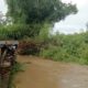 Rumpun Bambu Tumbang Hambat Aliran Sungai