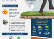Penindakan mafia tanah 2024