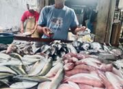 Cuaca Ekstrem Nelayan Tak Melaut, Harga Ikan Di Deliserdang Melonjak Tajam