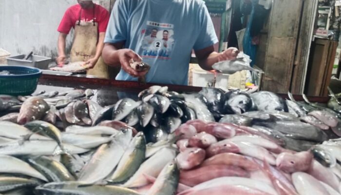 Cuaca Ekstrem Nelayan Tak Melaut, Harga Ikan Di Deliserdang Melonjak Tajam
