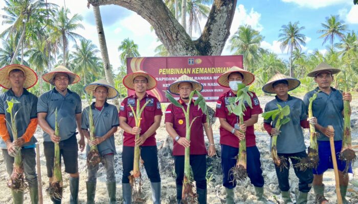 Dukung Ketahanan Pangan, Lapas Labuhanruku Budidayakan Pisang