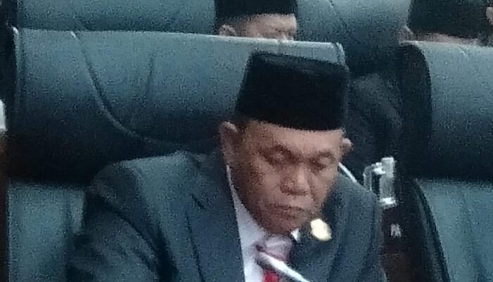 Animo Tinggi, Maskapai Perlu Nambah Rute Pekanbaru-Kualanamu