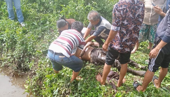 Tak Pulang Semalaman, Bahtiar Sitorus Ditemukan Meninggal Di Selokan