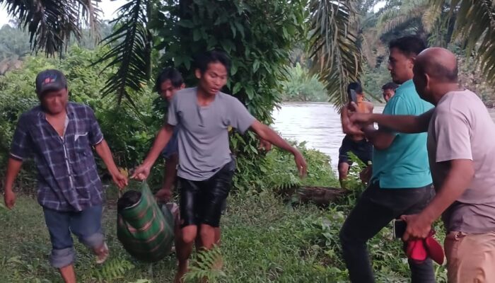5 Hari Hilang, Pensiunan BUMN Ditemukan Tewas Di Kebun Sawit