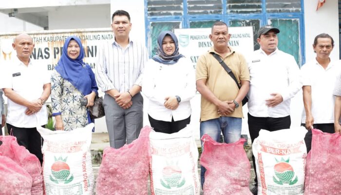 Pemprov Sumut Salurkan Bantuan Bibit Dan Pupuk Kepada Kelompok Tani Di Madina