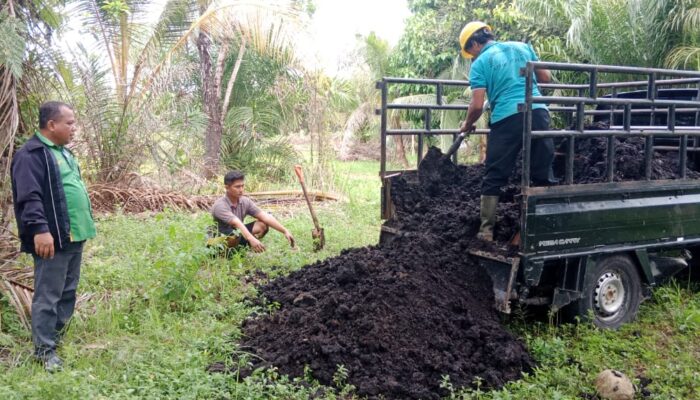 PT PLB Bantu Pupuk Hasil Olahan Sawit Untuk Lahan Praktikum Sekolah
