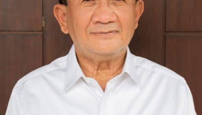 RE Nainggolan: Seleksi Dan Kualifikasi Calon Syarat Paling Penting Agar Bisa Jadi Calon Kepala Daerah