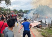 Si Jago Merah Lahap 8 Rumah Di Kotapinang