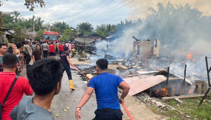 Si Jago Merah Lahap 8 Rumah Di Kotapinang