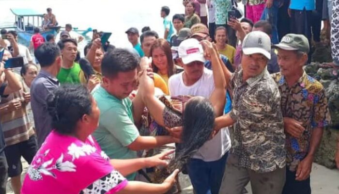 Seorang IRT Tewas Diterkam Buaya Di Nias Selatan