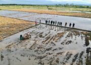 Mahasiswa Polbangtan Kementan Bimtek Optimalisasi Lahan Rawa