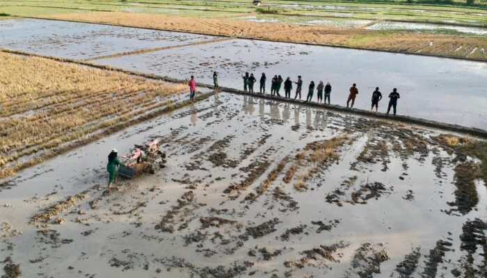 Mahasiswa Polbangtan Kementan Bimtek Optimalisasi Lahan Rawa