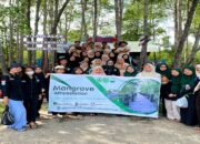 Himabio Unsam Gelar Mangrove Eforetation Di Kuala Langsa