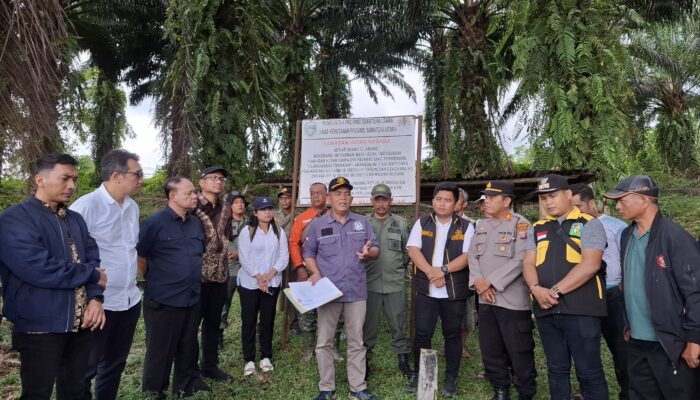 Panen Perdana Kebun Bah Birung Ulu PTPN IV Regional II Di Lahan Eks Hutan Berlangsung Lancar