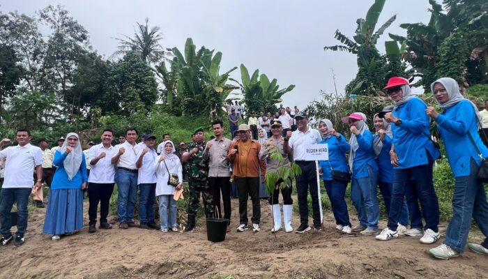 Antispasi Abrasi Dan Banjir, PTPN 1 Regional 1 Tanam Pohon