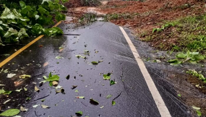 Beutong Ateuh Banggalang Dilanda Banjir Dan Longsor, Satu Jembatan Putus